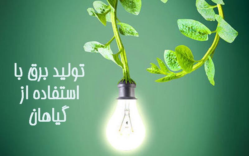تولید برق با استفاده از گیاهان 